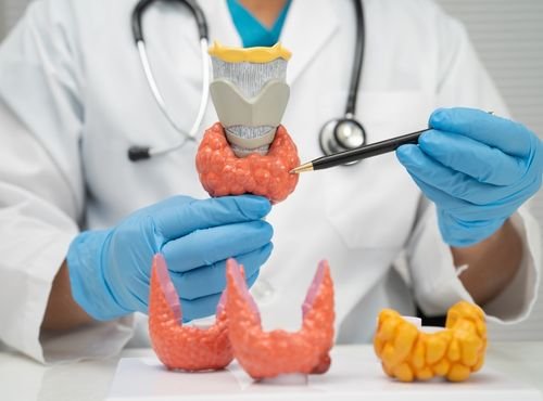 endocrinology